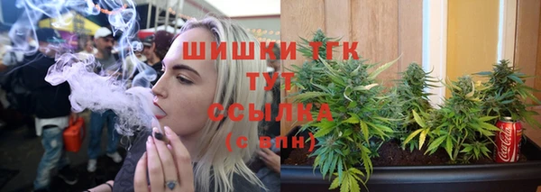 трава Балахна