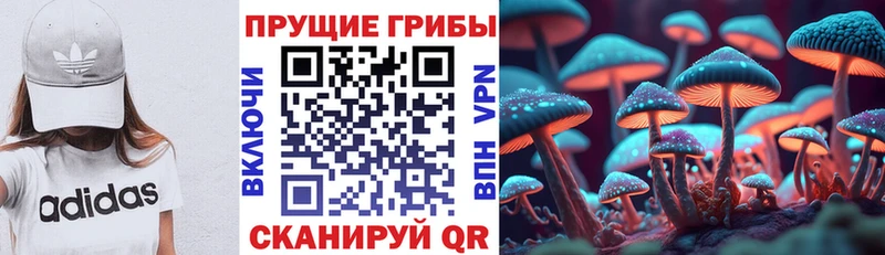 мега как зайти  Чудово  Псилоцибиновые грибы мухоморы 